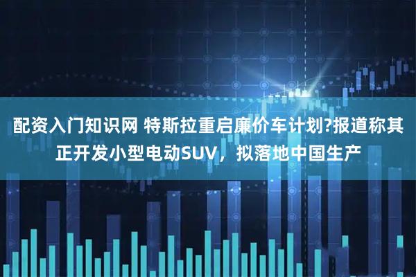 配资入门知识网 特斯拉重启廉价车计划?报道称其正开发小型电动SUV，拟落地中国生产